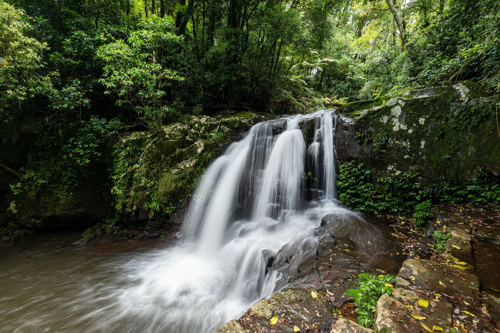 Waterfall at Lamington National Park, Qld
