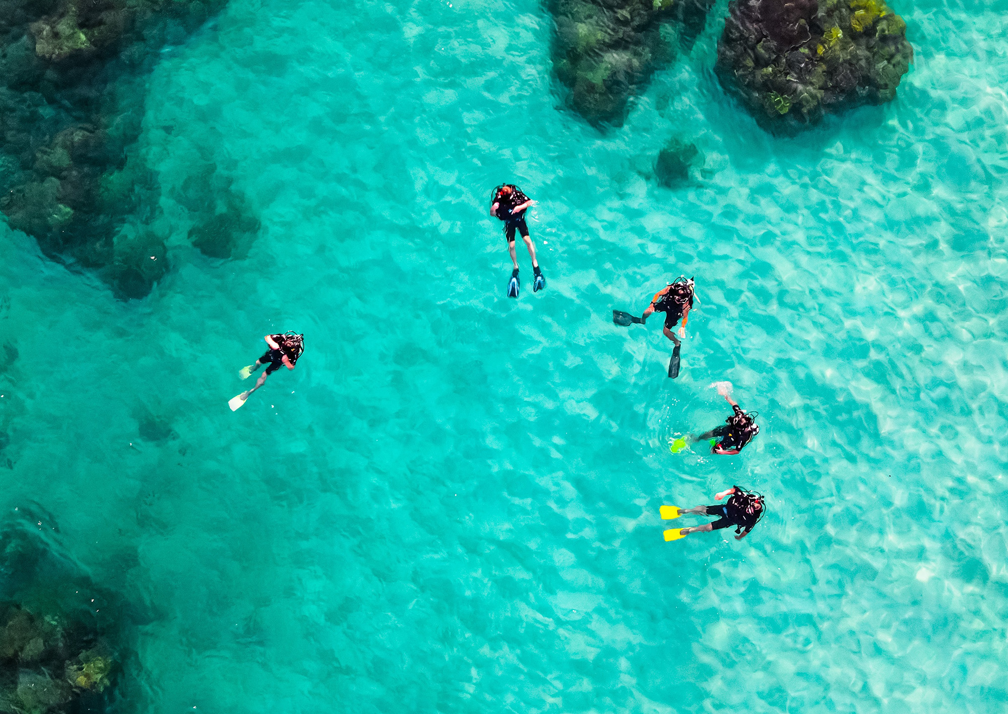 Scuba diving in Queensland, Australia.